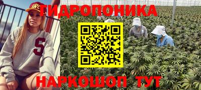 PSILOCYBIN Ставрополь