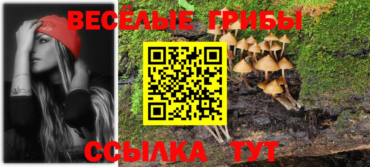 Галлюциногенные грибы Magic Shrooms Нефтеюганск