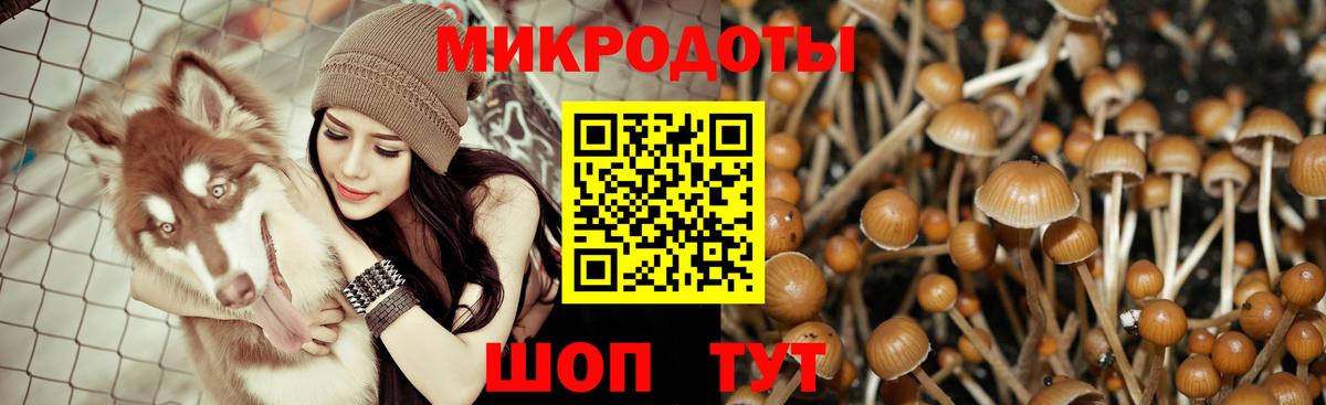 Псилоцибиновые грибы мухоморы  Псилоцибиновые грибы мухоморы  Вход с VPN  Нефтеюганск 